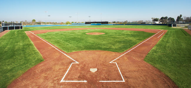 Clem's Baseball ~ Comerica Park